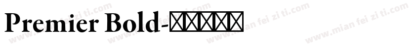 Premier Bold字体转换